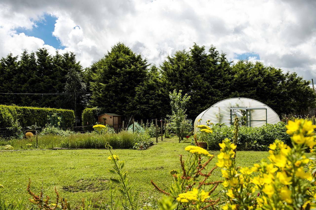 Peartree Hill Bed & Breakfast Dundonald  Bagian luar foto