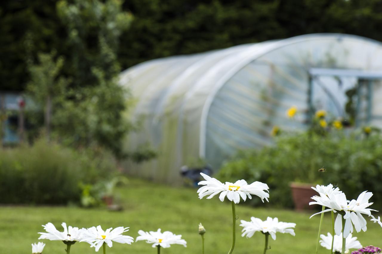 Peartree Hill Bed & Breakfast Dundonald  Bagian luar foto